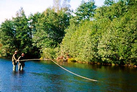 Fishing the River Spey for salmon   Rothiemurcus Estate near Aviemore   Scotland