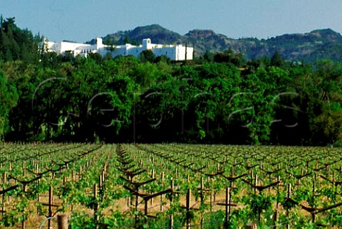 Springtime at Sterling Vineyards with   the winery on hilltop beyond Calistoga   Napa Valley California