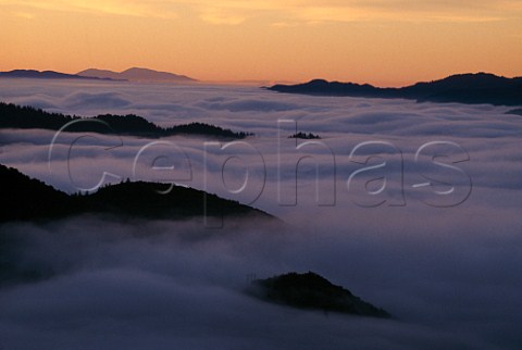 Morning fog fills the Napa Valley between St Helena and Calistoga California