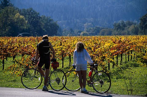 Cyclists pause by Conn Creek Vineyards   along the Silverado Trail at Rutherford   Napa Valley California