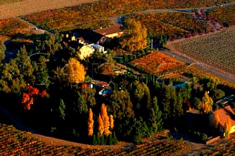Autumnal vineyards around Trefethen   winery Napa California USA