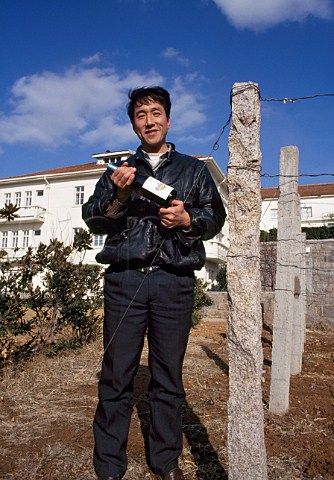 Granite posts in vineyard of Hua Dong   winery Qingdao province China