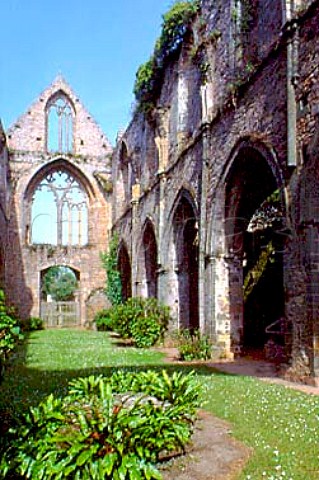 Ruins of the abbey of Beauport near   Paimpol CotesduNord France Brittany