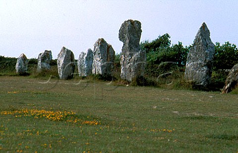 Alignements de Lagatjar   CamaretsurMer Finistere France    Brittany