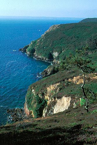 Coastline near Cap de la Chevre Goat   Cape on the Crozon Peninsula   Finistere France  Brittany