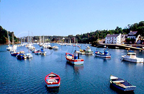 Aven River at Kerdruc south of   PontAven Finistre France  Brittany