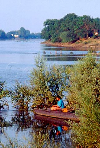 Fishing in the Loire near   StFlorentleVieil MaineetLoire   France Pays de la Loire