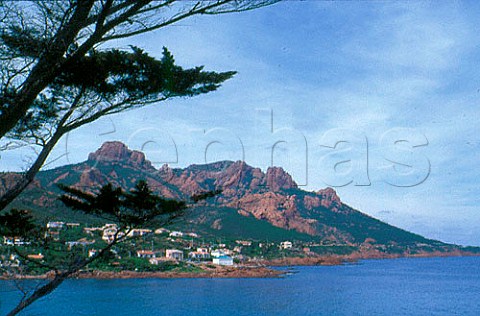 Corniche dOr Massif de lEsterel Pic  du CapRoux Alpes Maritimes  ProvenceAlpesCte dAzur France