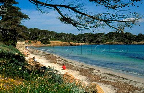 Plage dArgent Ile des Porquerolles   Var France