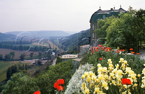 Dornburger Schlsser above the River Saale a small wine producing property Dornburg  west of Leipzig Germany