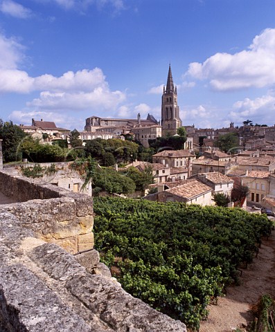 Vineyard within the walls of Stmilion   Gironde France  Saintmilion  Bordeaux