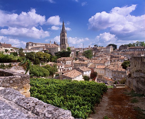 Vineyard within the walls of Stmilion   Gironde France  Saintmilion  Bordeaux