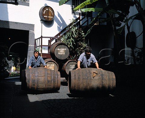 Rolling barrels through courtyard of Adegas de Sao   Francisco  owned by the Madeira Wine Company   Funchal Madeira Portugal