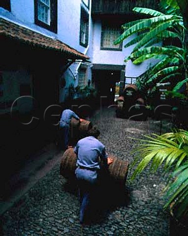 Rolling barrels through courtyard of Adegas de Sao   Francisco  owned by the Madeira Wine  Company    Funchal Madeira