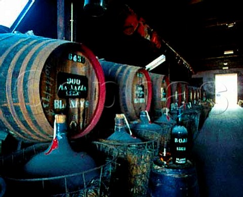 Ageing room in the roof at Adegas de Sao Francisco    owned by the Madeira Wine Company Funchal Madeira