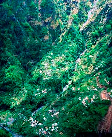 Terraced vineyards in the Curral das Freiras   Madeira