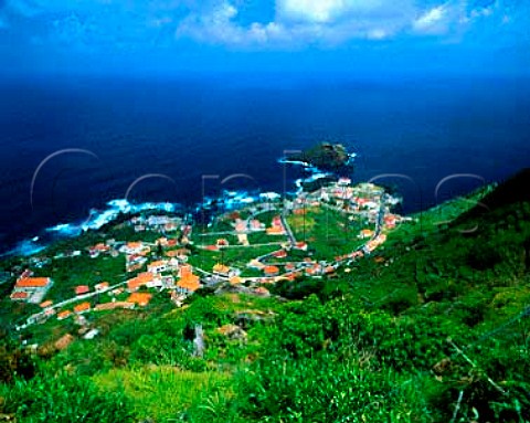 Vineyards around village of Porto do Moniz on the   north coast of Madeira