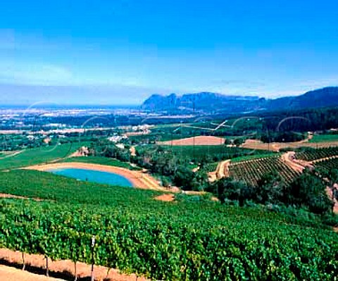 View over Klein Constantia Estate to False Bay with   Groot Constantia on left and Buitenverwachting and   Uitsig Constantia on right  Cape Province South   Africa         Consatantia