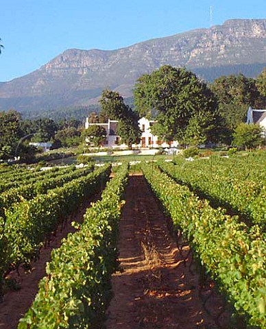 Klein Constantia manor house and vineyard     Constantia Cape Province South Africa   Constantia WO
