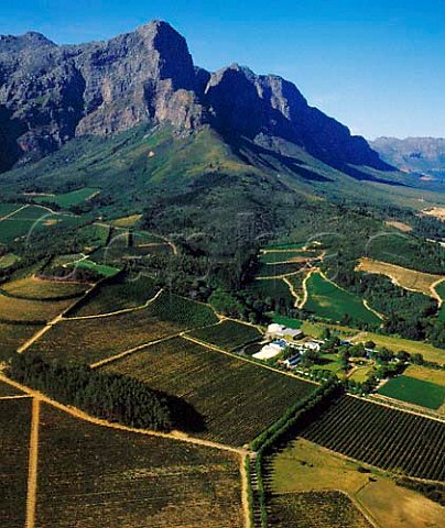 Aerial view of vineyards in the Franschhoek Valley   South Africa   Paarl