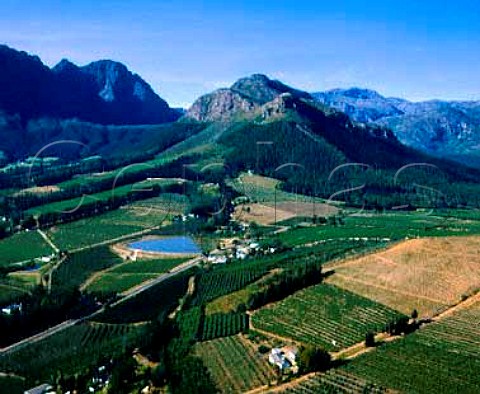 Aerial view of vineyards in the Franschhoek Valley   South Africa        Paarl