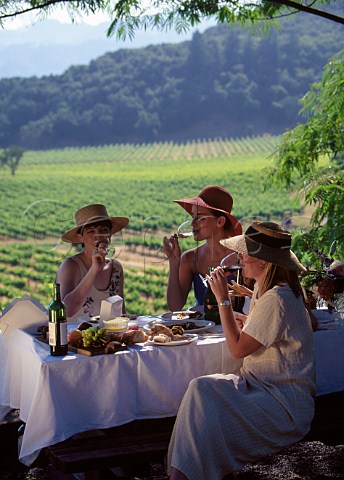 Women having lunch on the terrace of Joseph Phelps Winery St Helena Napa Valley California