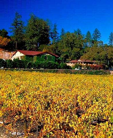 Flora Springs Winery over autumnal vineyard  St Helena Napa Valley California