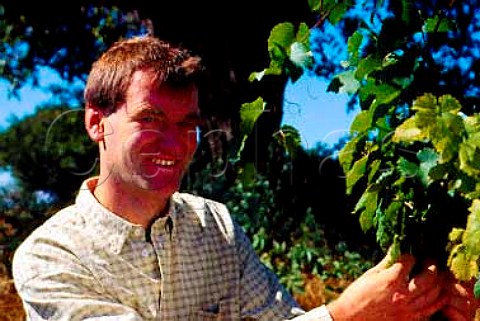 Josef Umathum in vineyard at Podersdorf   Burgenland Austria Neusiedlersee