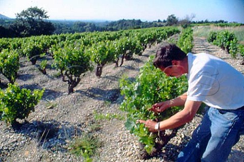 Jocelyn Chudzikiewicz of Domaine des   Amouriers Vacqueyras Vaucluse France   AC Vacqueyras