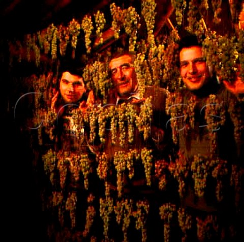 Olento Gini and sons Claudio and Sandro in the loft   where they dry the grapes for their Recioto Col   Foscarin Monteforte dAlpone Veneto Italy Soave   Classico