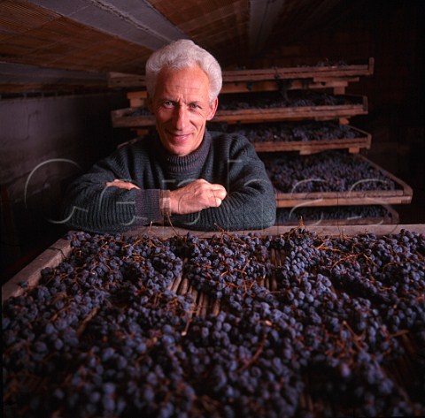 Luigi Campagnola with grapes drying for Recioto     San Rustico Valgatara di Marano di Valpolicella   Veneto Italy     Valpolicella Classico