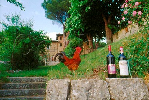 Cockerel and bottles of Chianti   Classico Castello Il Palagio Tuscany   Italy