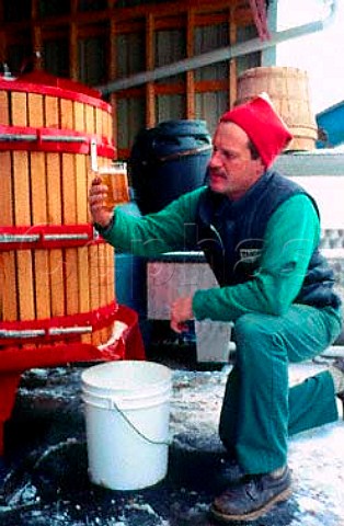 Murray Pudicombe with freshly pressed   Ice Wine must  Stoney Ridge Cellars   Winona Ontario Canada