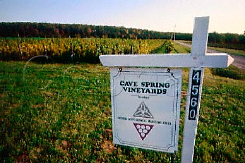 Cave Spring Cellar vineyards Ontario   Canada