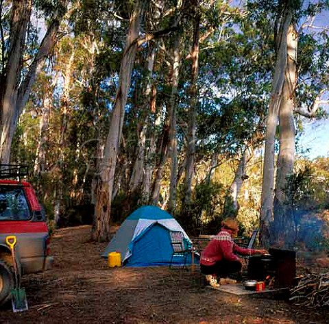 Campsite in woods Tuross River Wadbilliga National   Park New South Wales Australia