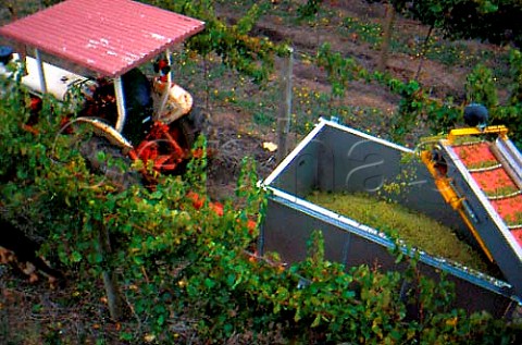 Rymill Wines  machine harvesting   Coonawarra South Australia