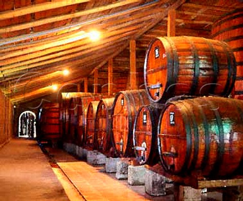 Barrel room of Vina Bisquertt Chile