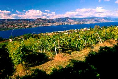 Cedar Creek Estate Winery Okanagan   Lake Okanagan Valley British Columbia   Canada