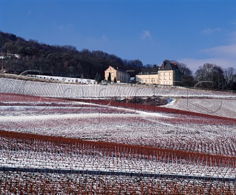 Snow covered vineyard at Chteau de Saran of Mot et Chandon Cramant Marne France  Cte des Blancs  Champagne