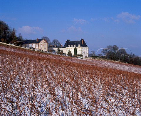 Snow covered vineyard at Chteau de Saran of Mot et Chandon Cramant Marne France Cte des Blancs  Champagne