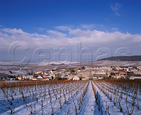 Snow covered Chardonnay vineyards surround the   village of Cramant on the Cte des Blancs Marne   France Champagne