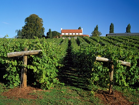 Winery and restaurant of Three Choirs vineyards   Newent Gloucestershire England