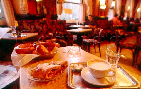Coffeehouse Tirolerhof Vienna Austria