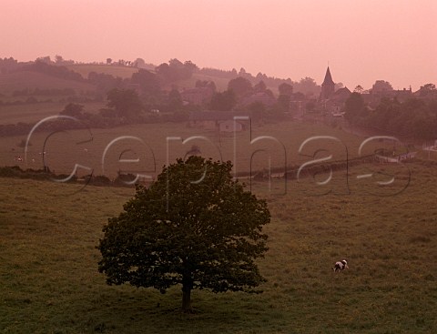 Landscape near StMartindeSallen Calvados France Normandy