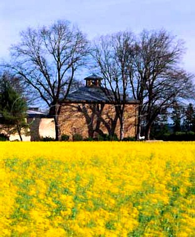 Hans Kornell winery viewed over springtime mustard   Calistoga Napa Co California   Napa Valley
