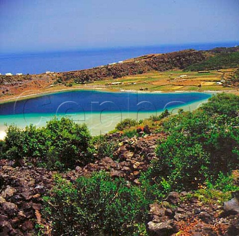 Vineyards by Specchio di Venere Mirror of Venus a   saline volcanic lake on the island of Pantelleria   Italy