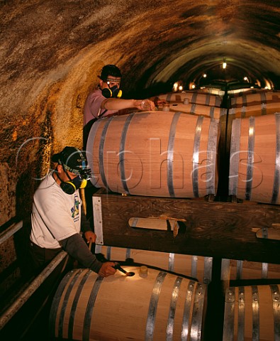 Adding sulphur and toppingup barrels at Rutherford Hill Winery Rutherford Napa Valley California