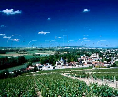 MareuilsurAy and the Marne valley viewed from   above the Clos des Goisses Marne France  Champagne