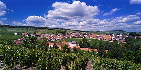 View on to Le MesnilsurOger which surrounds the small walled vineyard Clos du Mesnil Owned by Krug the clos is planted solely with Chardonnay for making one of the worlds most expensive ChampagnesMarne France  Champagne  Cte des Blancs