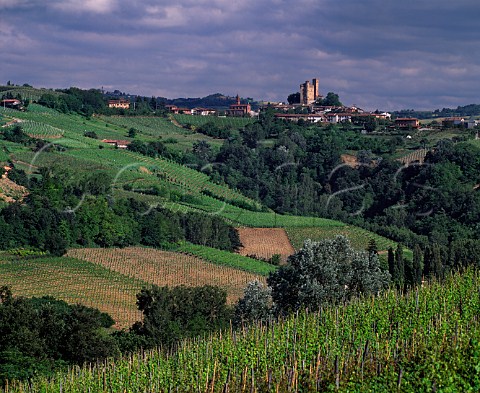 Serralunga dAlba viewed over vineyards  Piemonte Italy   Barolo